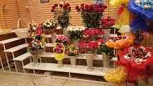 Угловой стеллаж для цветов 5 полок купить в интернет- магазине «Регион Холод» Угловой стеллаж для цветов 5 полок купить в Москве по выгодным ценам в интернет-магазине «Регион Холод»